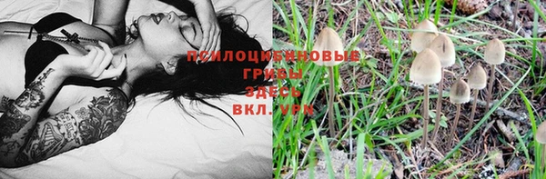 apvp Зеленодольск