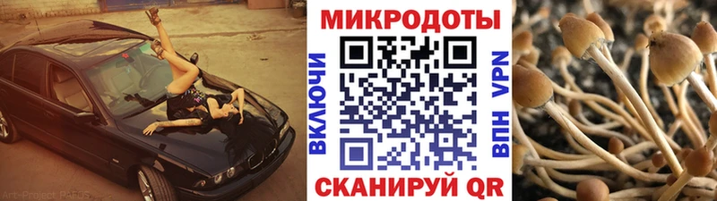 Псилоцибиновые грибы мухоморы  Купить закладки  Туапсе 